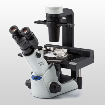 奧林巴斯細胞培養用顯微鏡倒置顯微鏡CKX53