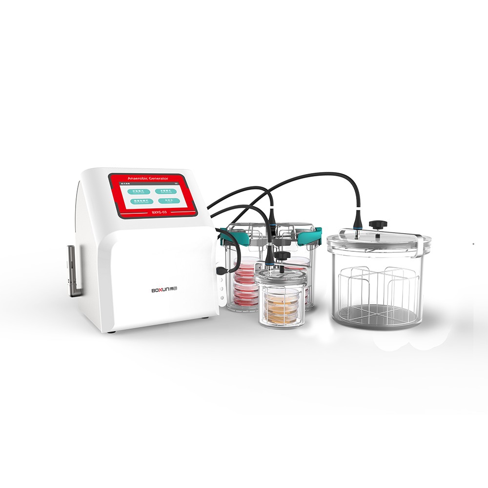 上海博迅厭氧培養系統BXYG-02